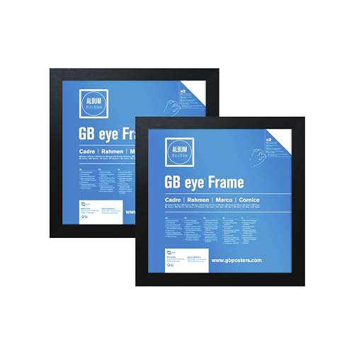 Gb Eye Music Record Made to Display Vinyl Records Twin Pack LP Record Frame Vinyl Covers Black Frame 12.5" x 12.5" - Image 3